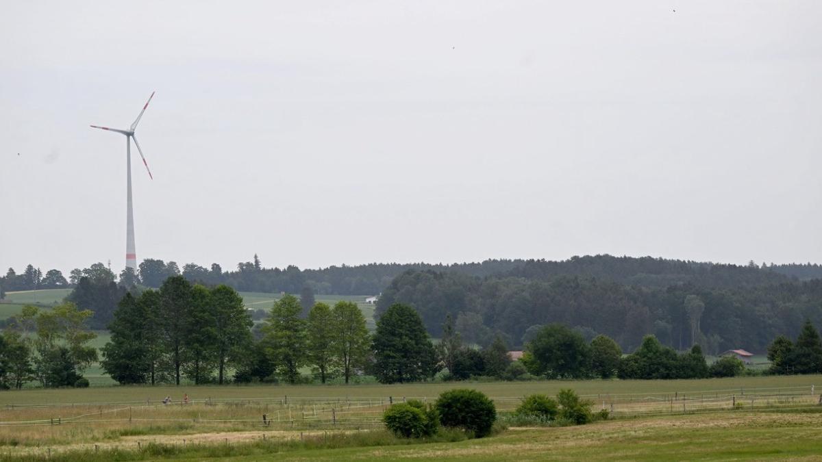 locuitori sat germania castiga sute mii euro strans bani turbina eoliana