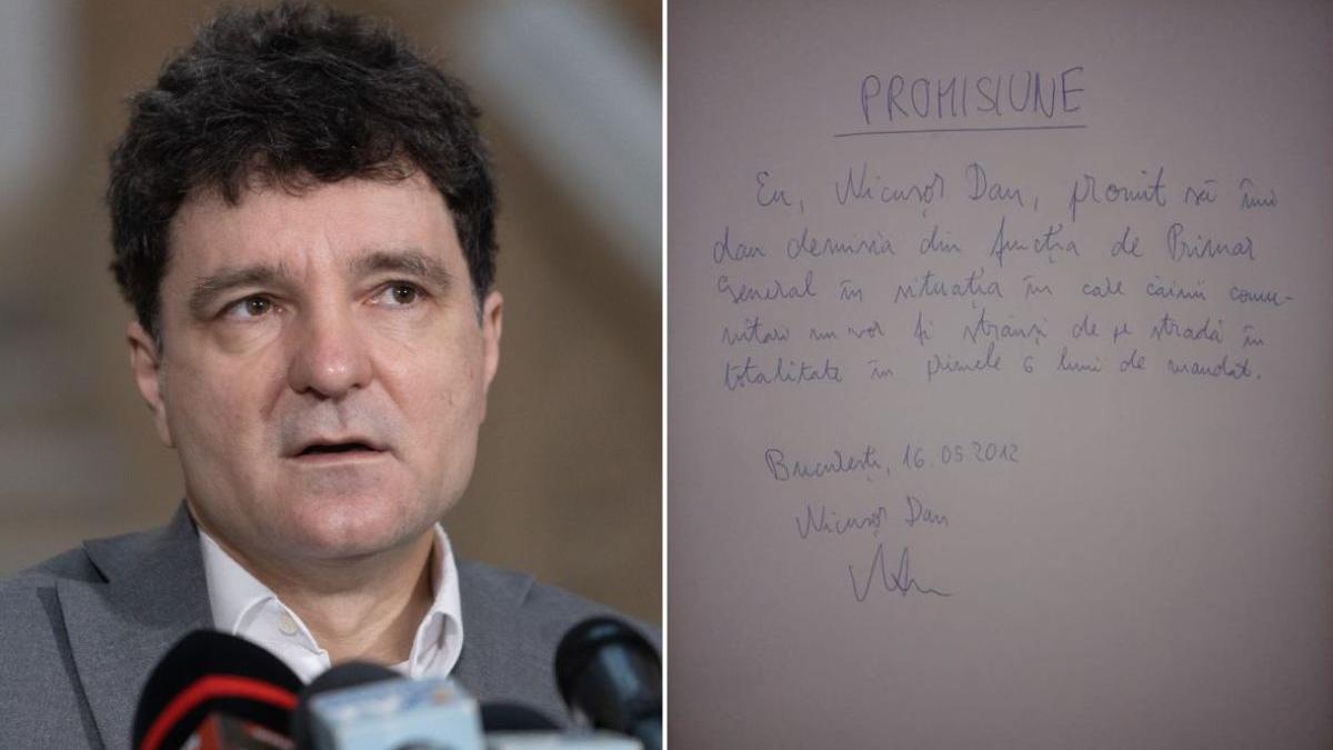 nicusor dan promisiune demisia caini fara stapan bucuresti