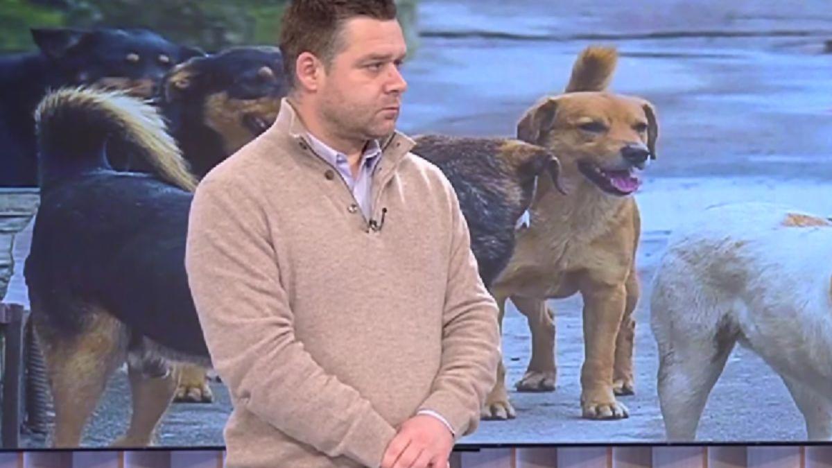 Ciprian Ciucu, primarul Sectorului 6: "Este un interes undeva ca să existe câini pe stradă"