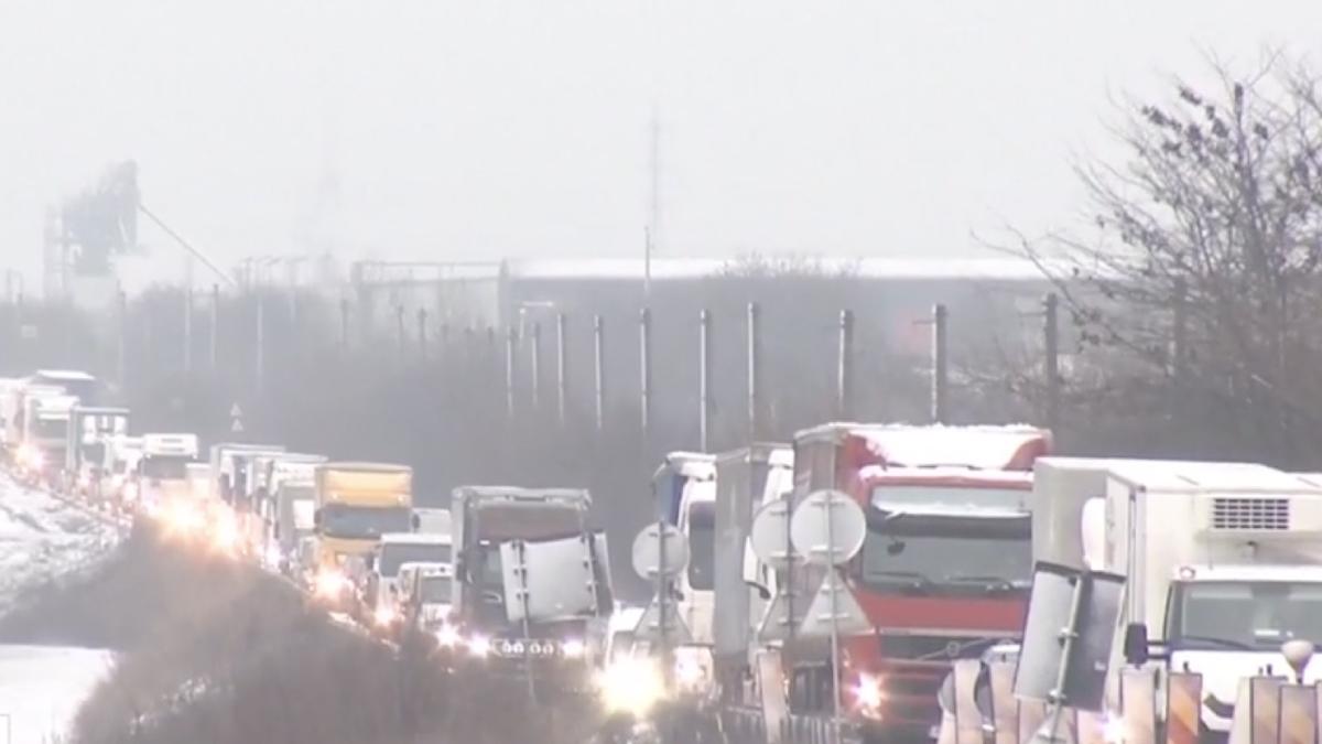 ninsori haos sosele recomandari soferi pietoni politia rutiera