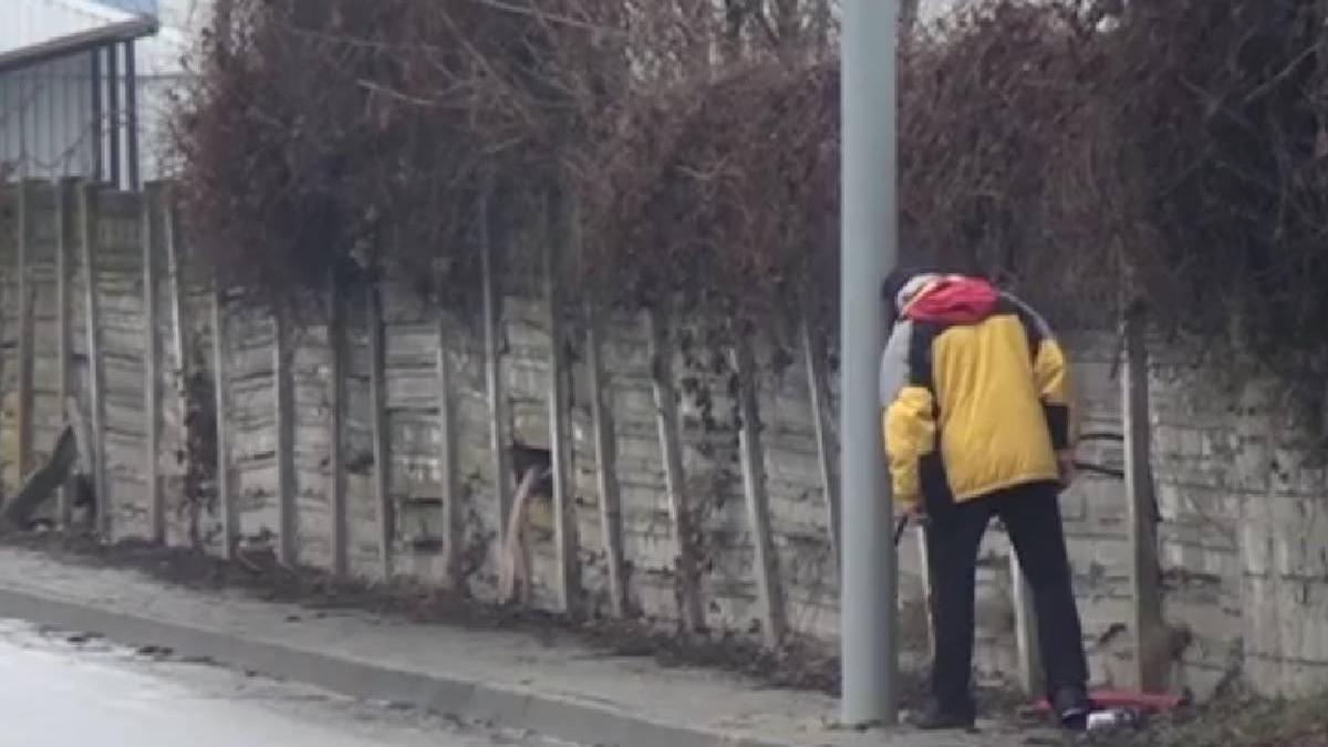 stalpi montati mijloc trotuar alba iulia solutie smart primarie