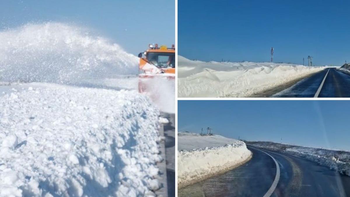 nameti zapada romania bacau vaslui