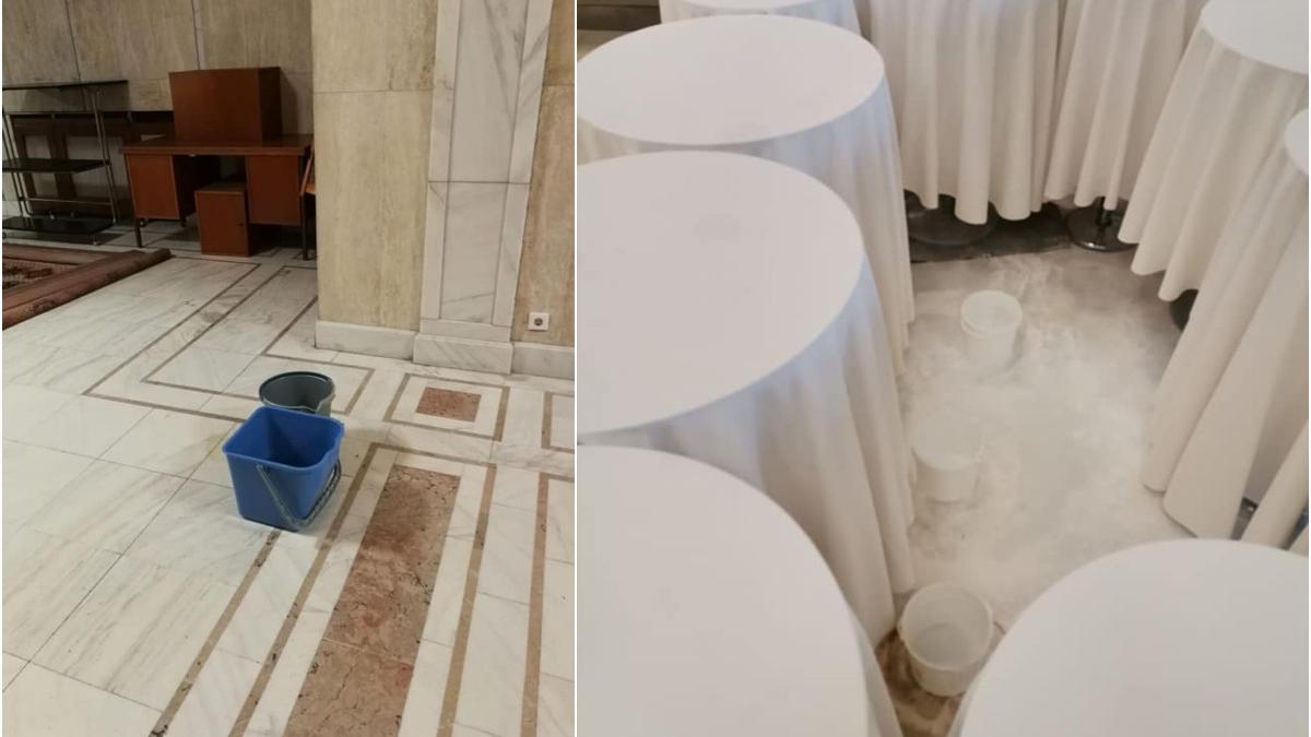 galeata de la camera deputatilor pagina facebook