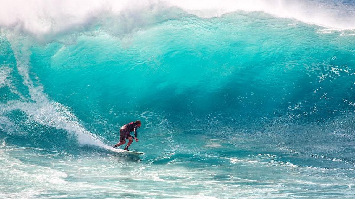 cum alegem placa de surf