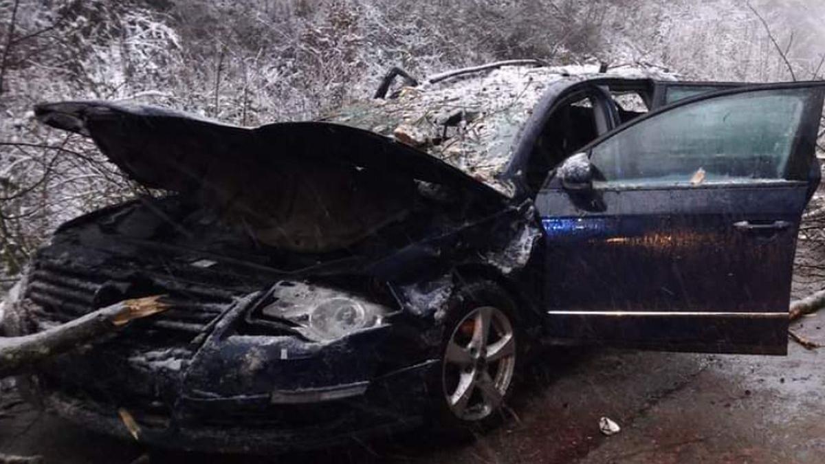 copac cazut resita copil mort