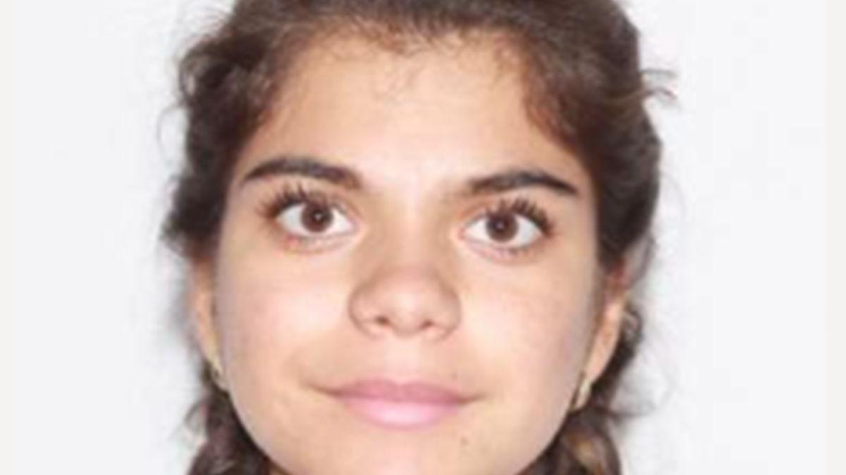 minora disparuta stefanestii de jos