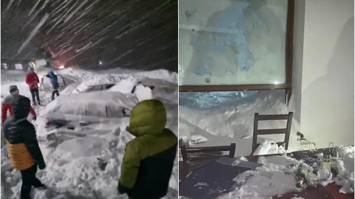 cabana capra lovita de avalansa transfagarasan