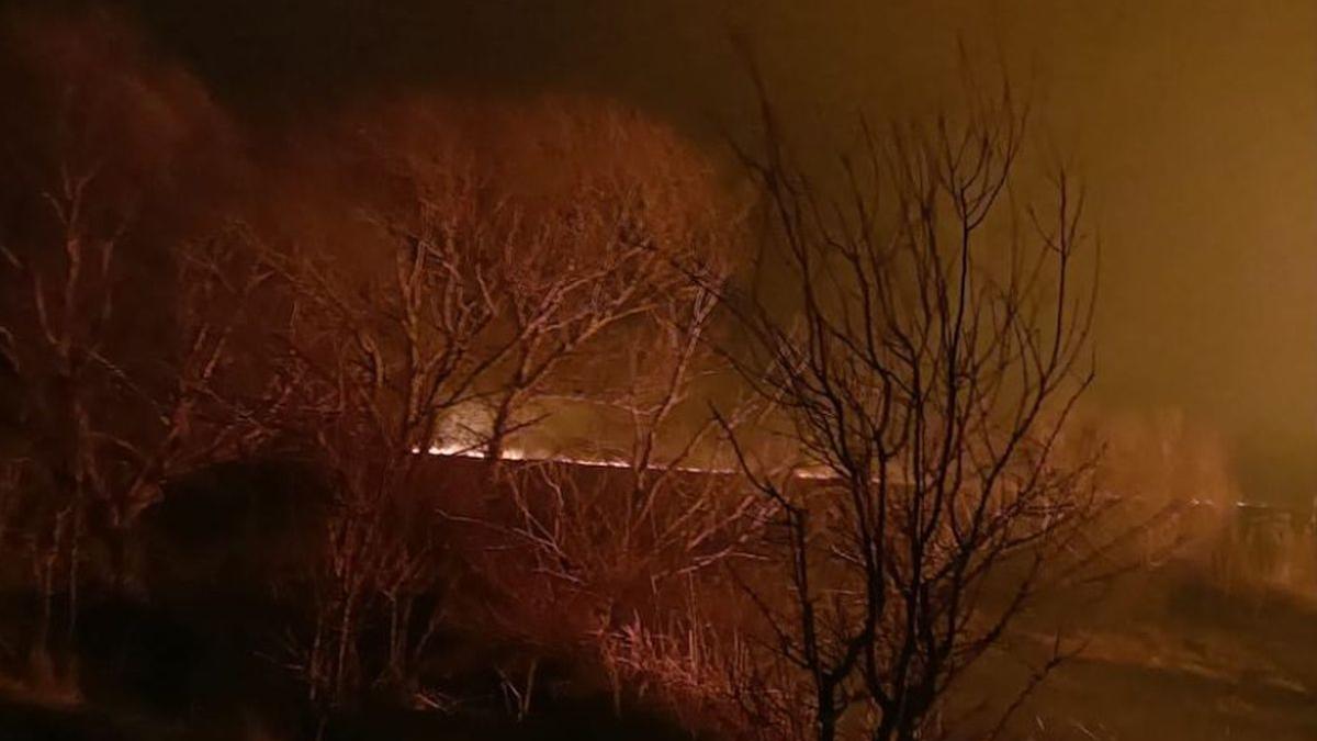 incendiu hectare vegetatie sulina delta dunarii