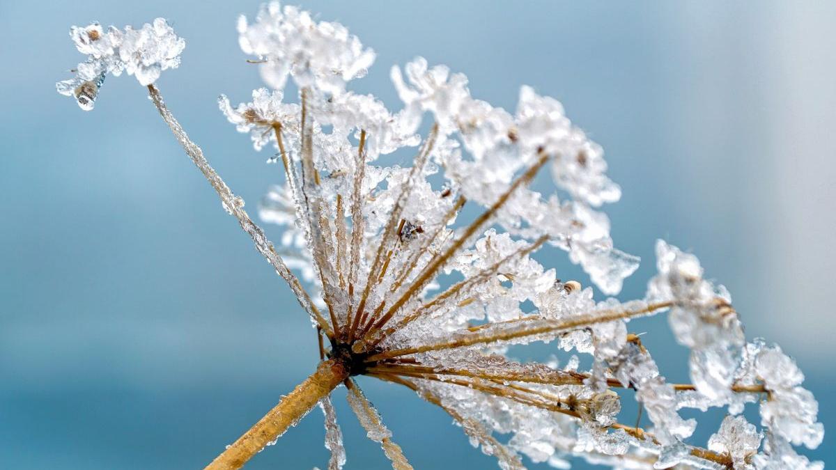 prognoza meteo vremea 6 februarie 2023