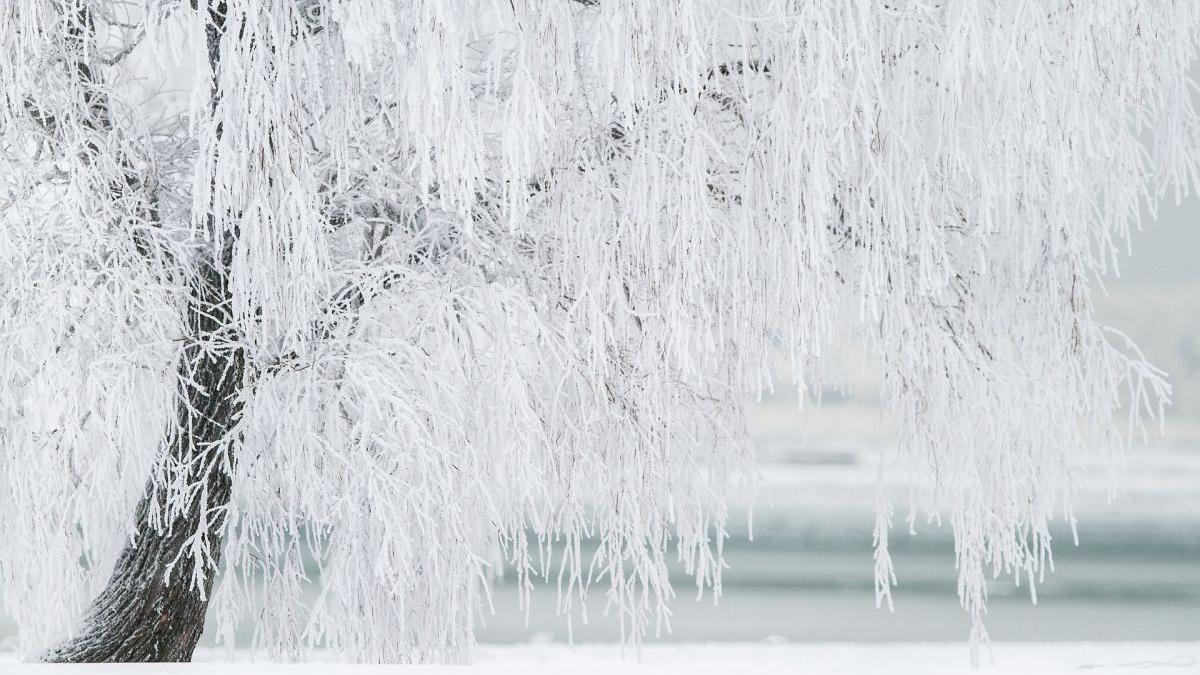 vreme atipica februarie prognoza meteo 6 19 februarie 2023