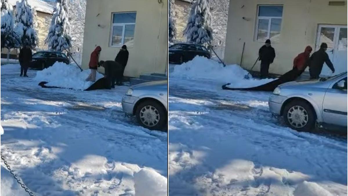 angajati primaria gorj deszapezit institutie patura