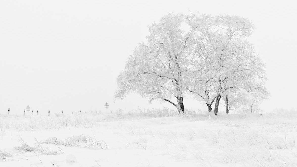 prognoza meteo vremea