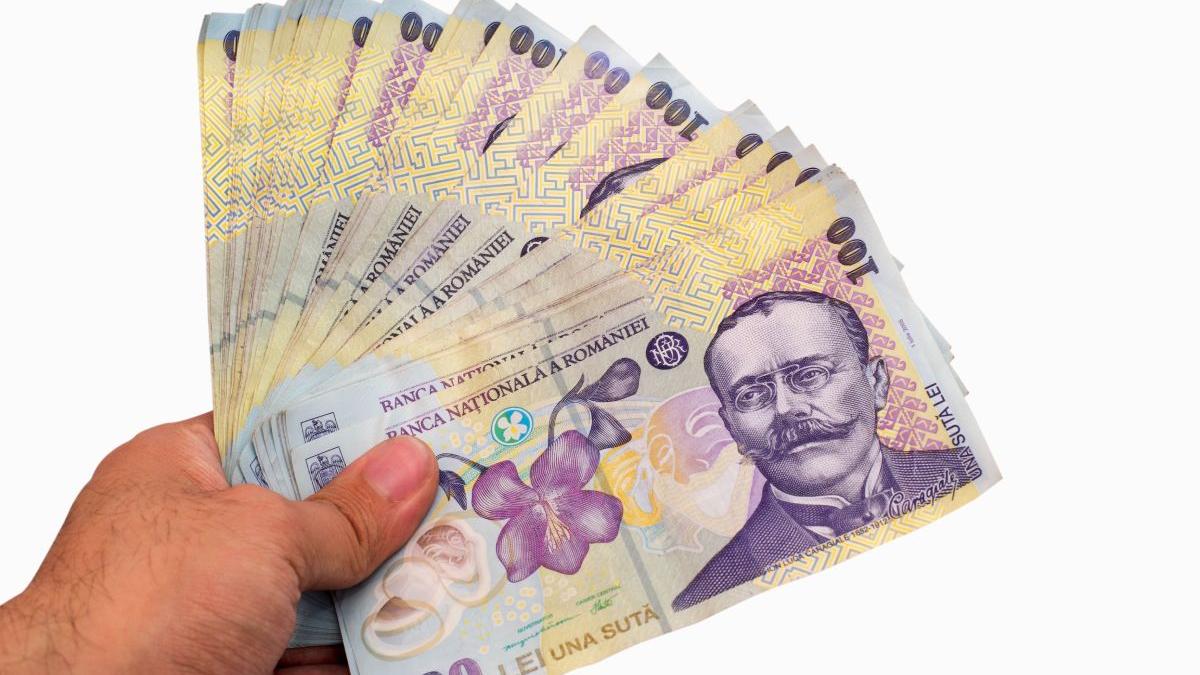 angajat consiliul judetean satu mare salariu 6500 lei demisia nu muncea nimic