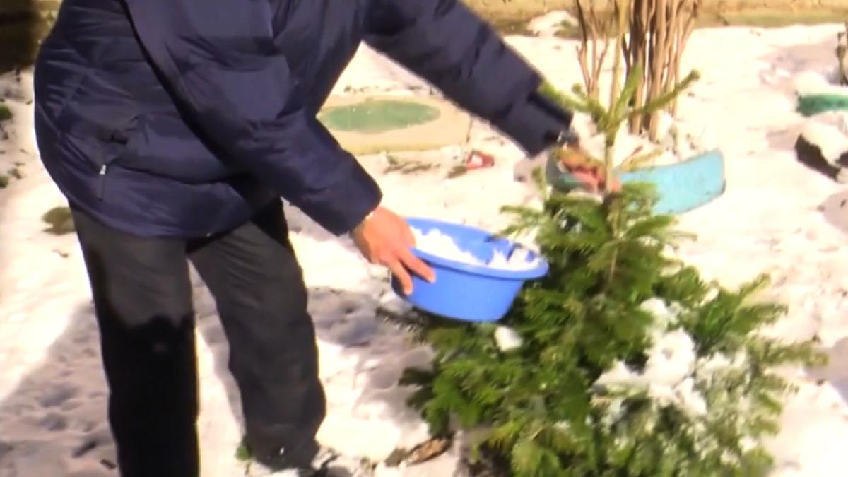 oameni bloc piatra neamt topesc zapada pentru a se spala