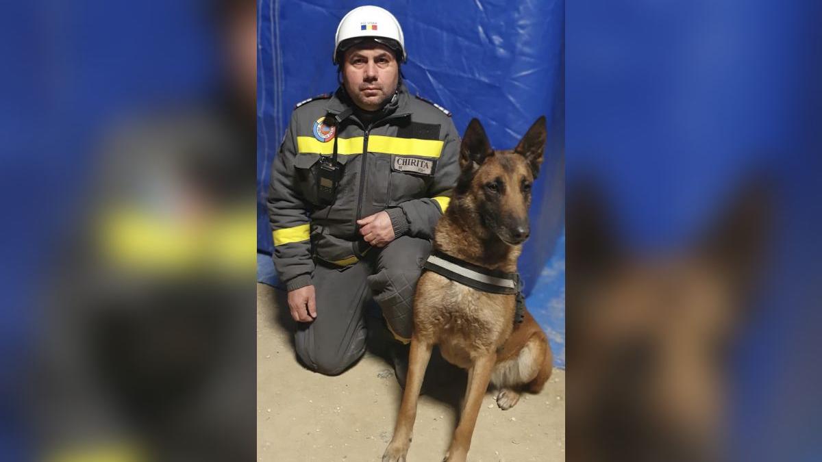 poveste speedy caine salveaza vieti cutremur turcia siria