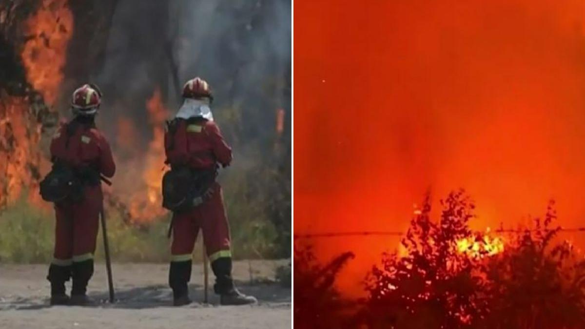 bilant incendiu de vegetatie chile