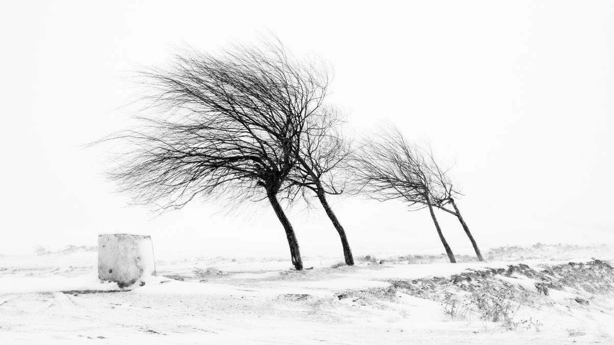cod galben de vijelii 21 de judete sunt vizate de avertizarea meteo