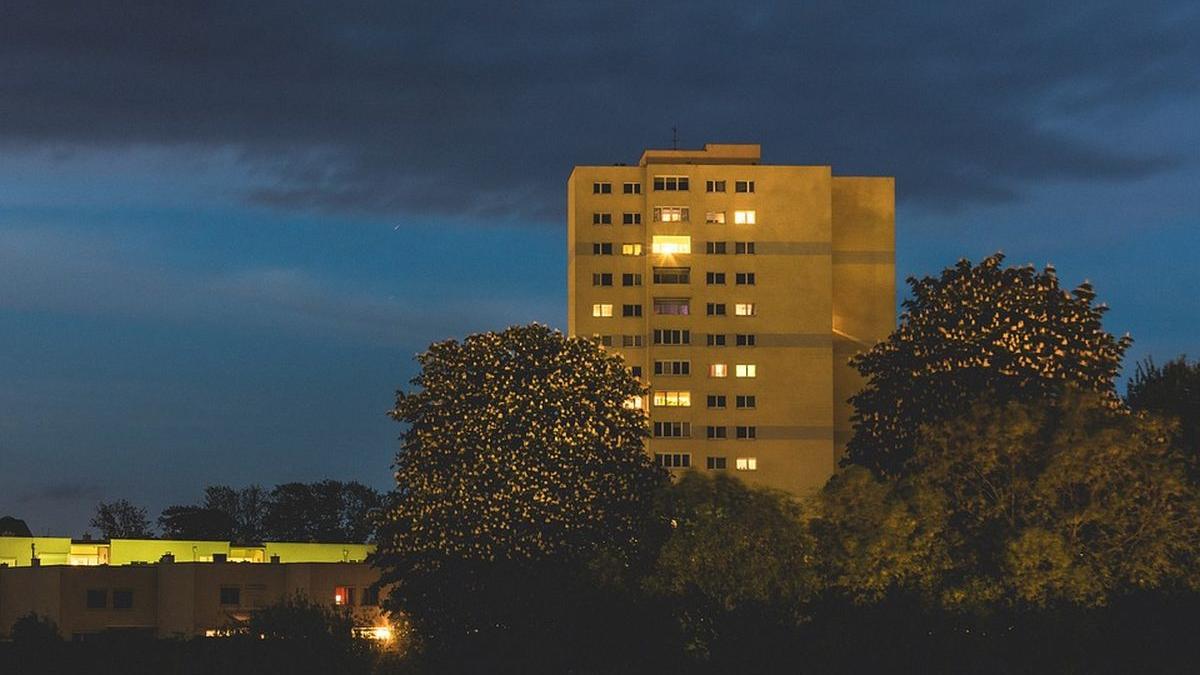 copac nu plantezi langa casa riscuri expui amenzi