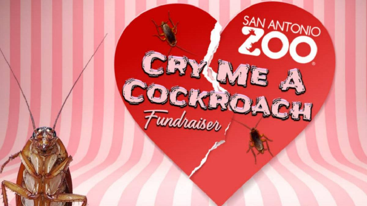 gandaci botezati nume fosti iubiti gradina zoologica texas