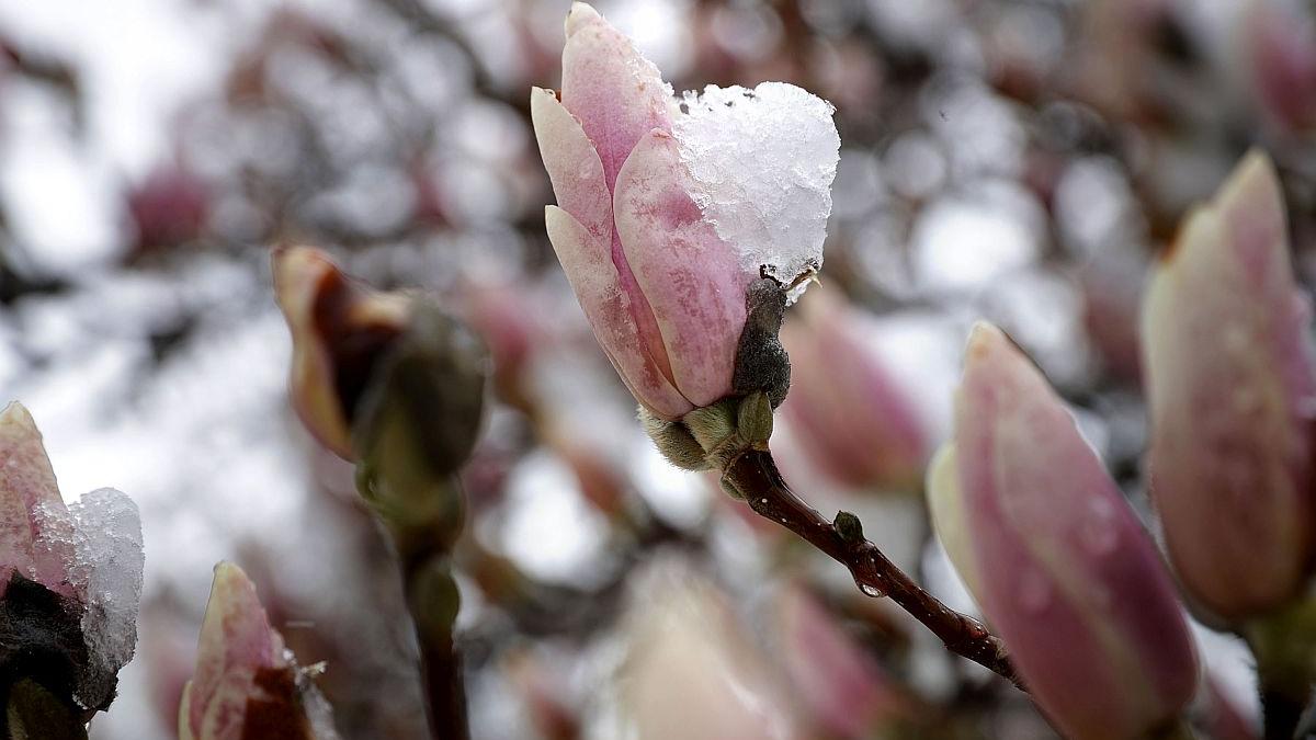 prognoza meteo vremea alina serban