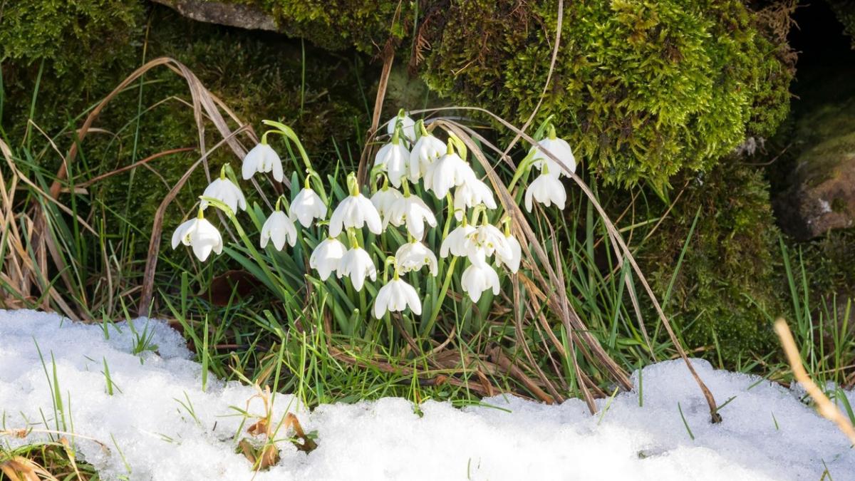 prognoza meteo actualizata 16 februarie