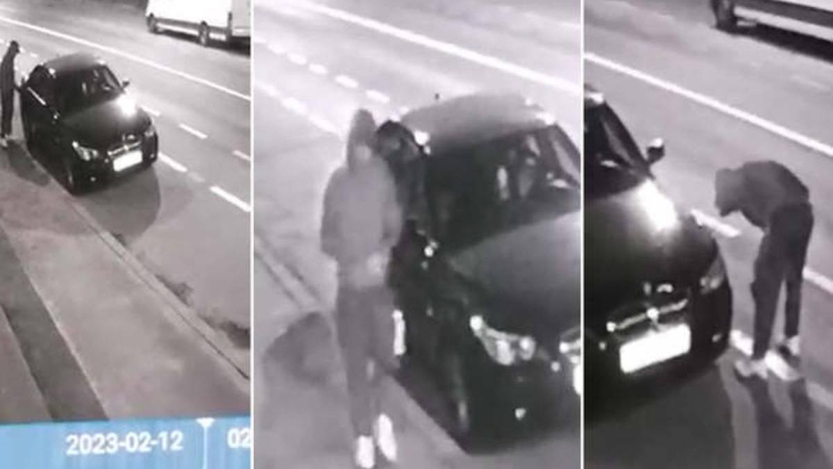 sofer zahar rezervor masina recompensa arad