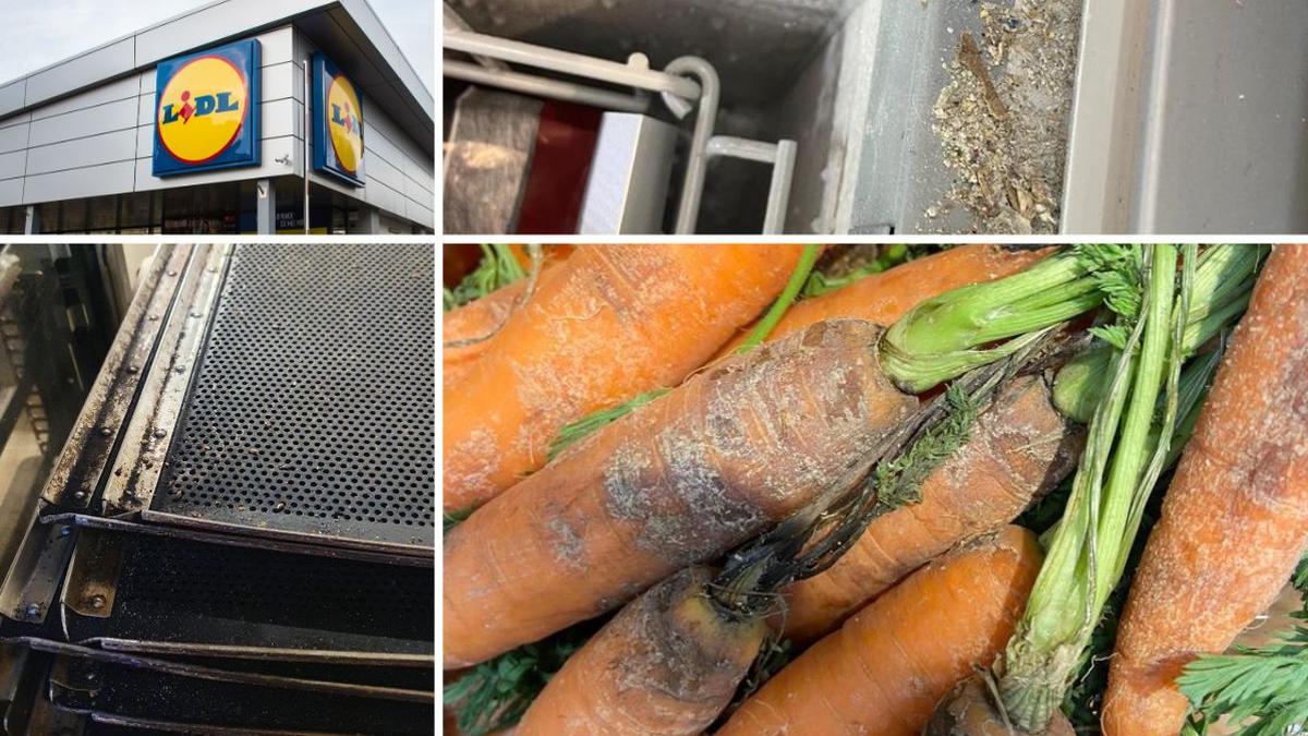 anpc magazine lidl inchise produse expirate mizerie