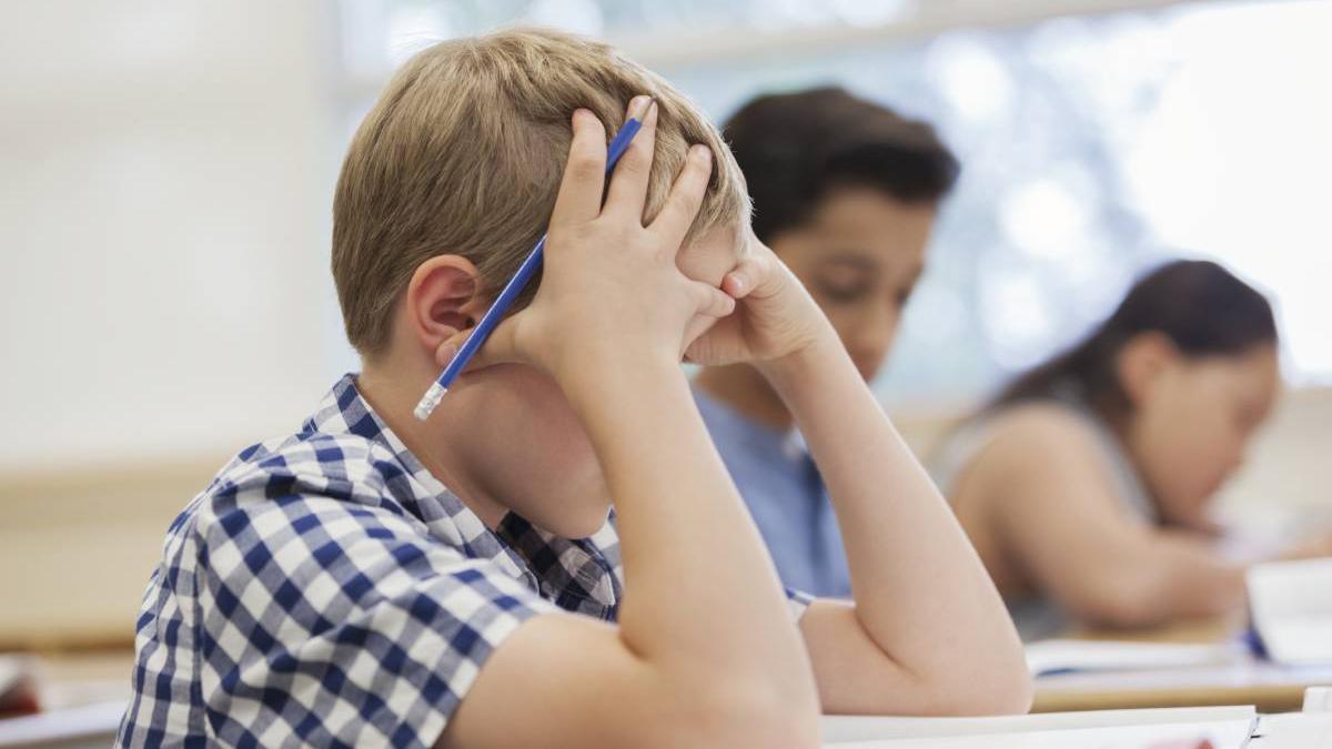 elevi bucuresti 29 judete vacanta 20 26 februarie 2023