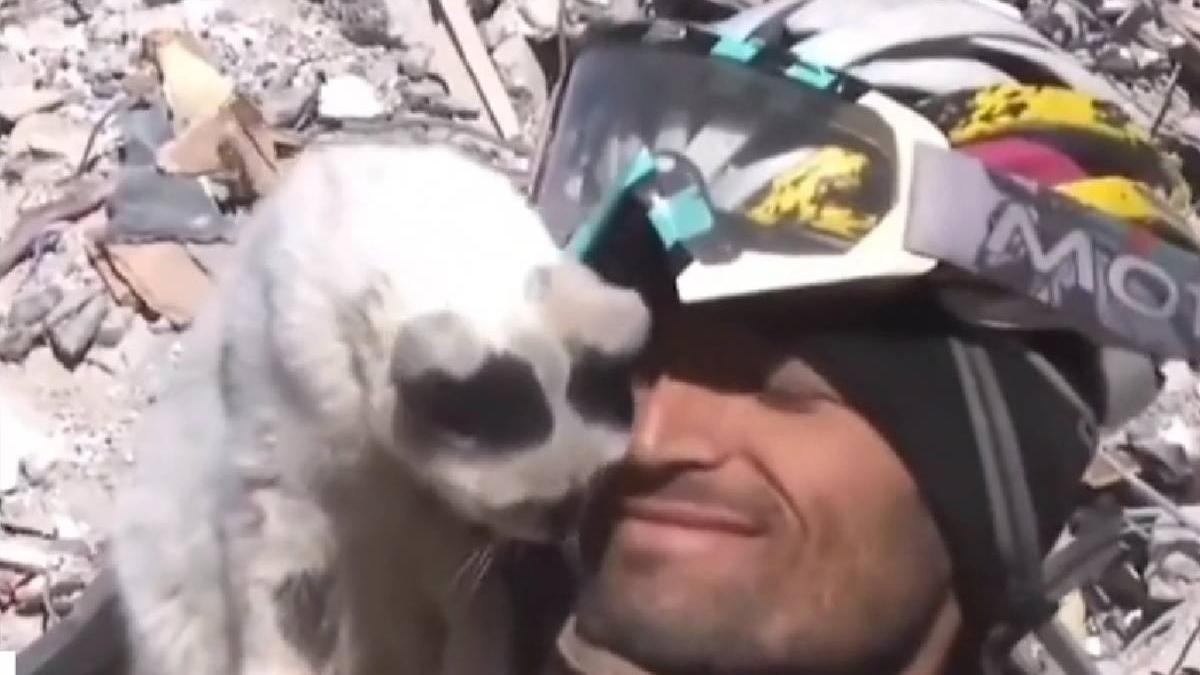 pisica scoasa daramaturi turcia salvator