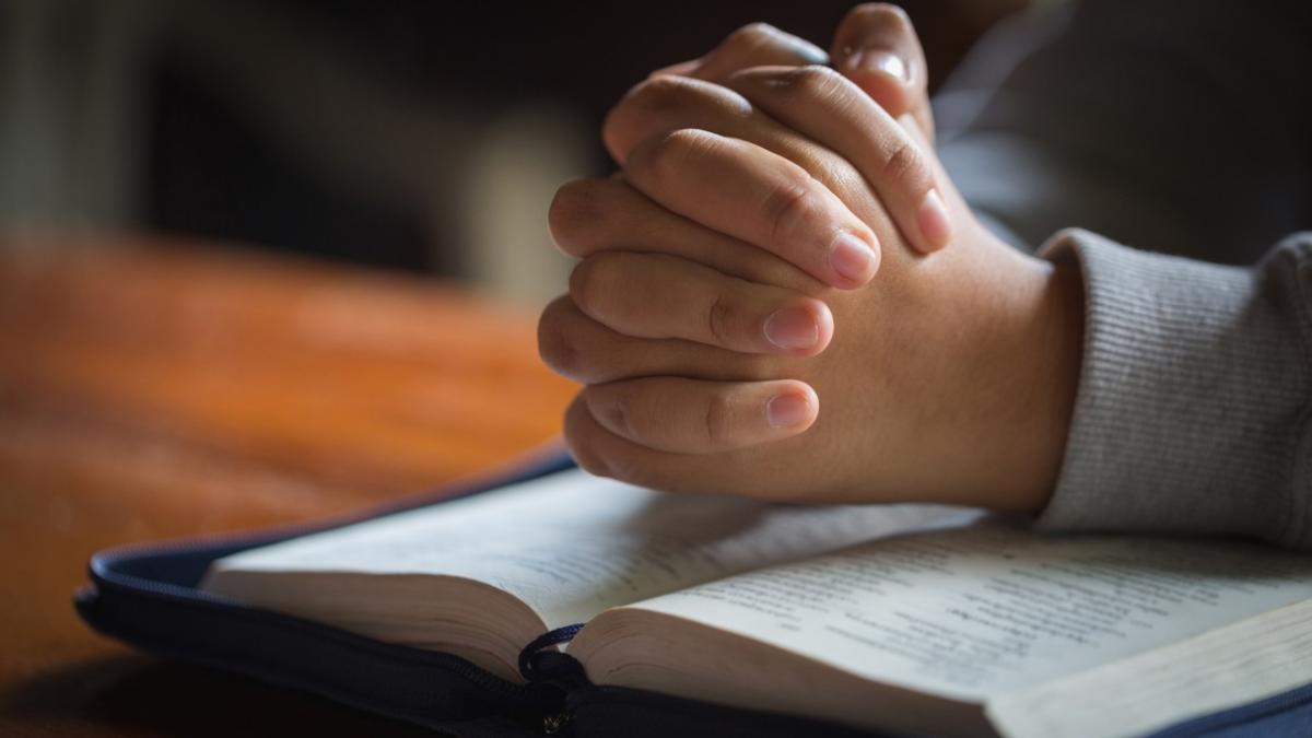 vacanta paste elevi revolta deputat psd