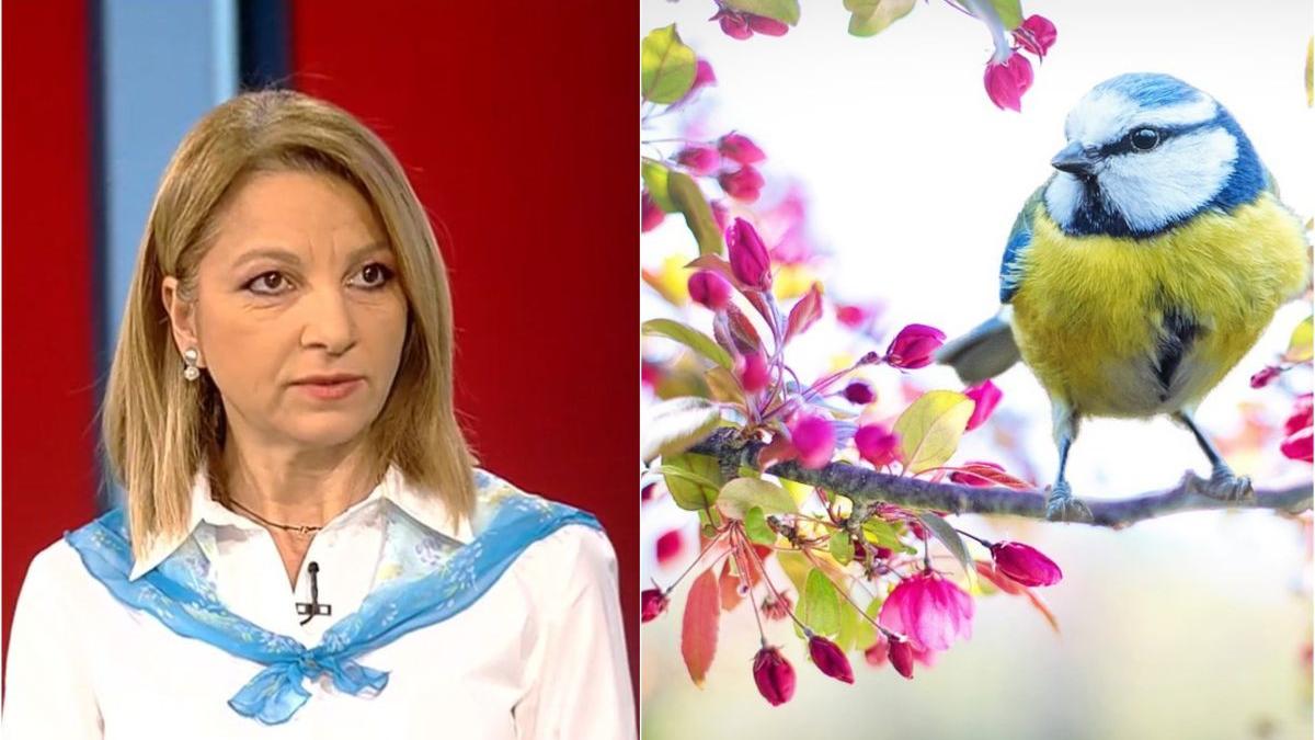 diferente temperatura 16 de grade oras altul florinela georgescu anm alternante termice