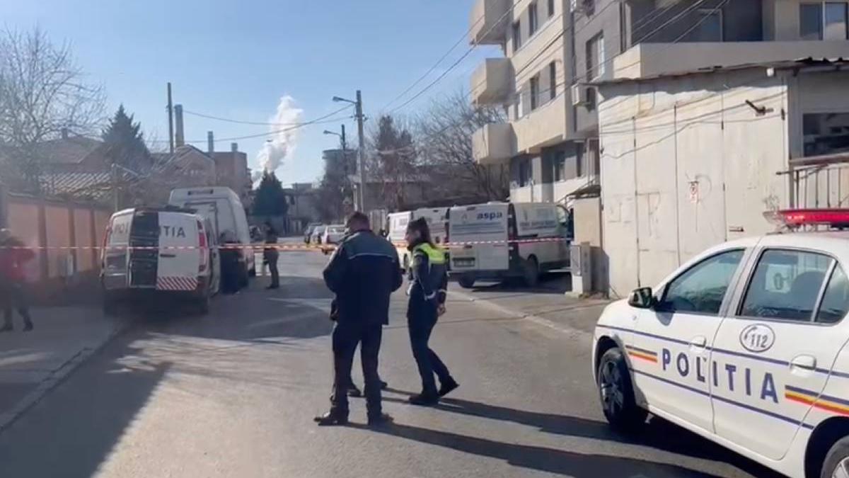 femeie omorata caine bucuresti