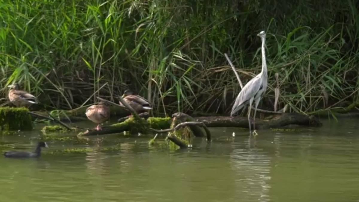 ucraina dublat adancime canalul bastroe efecte romania