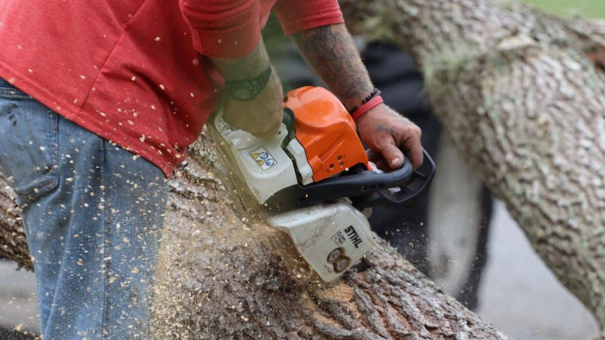 barbat mort valea mare pravat arges copac cazut