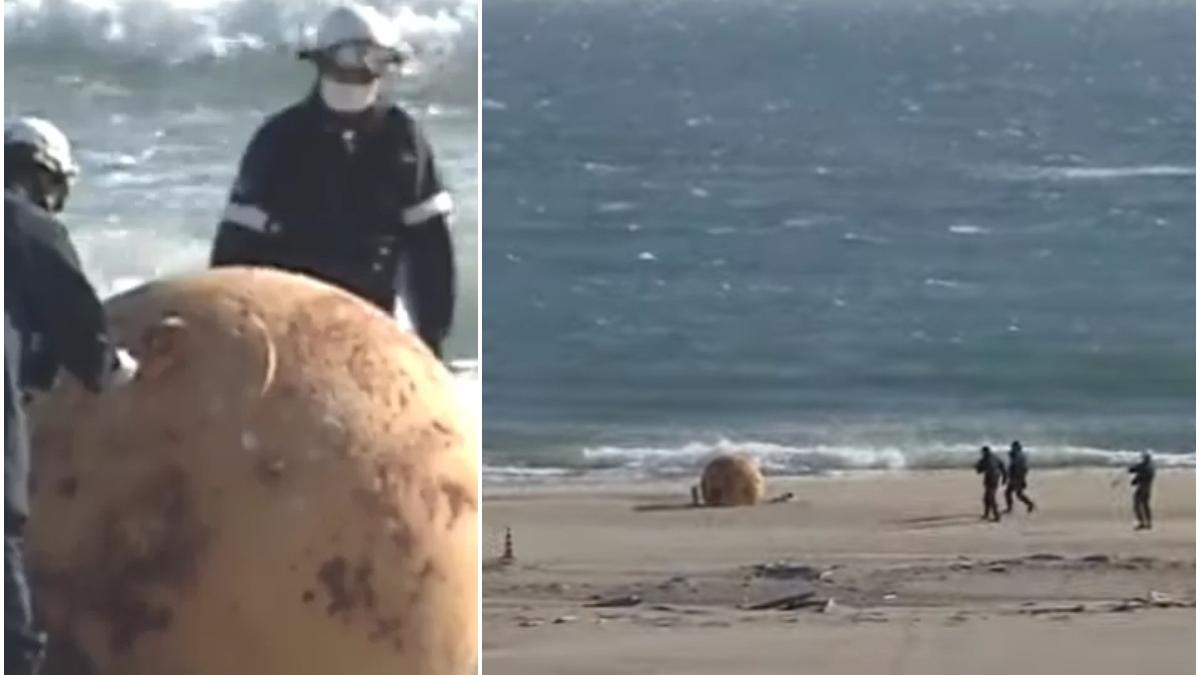 sfera misterioasa gasita plaja japonia autoritatile ancheta