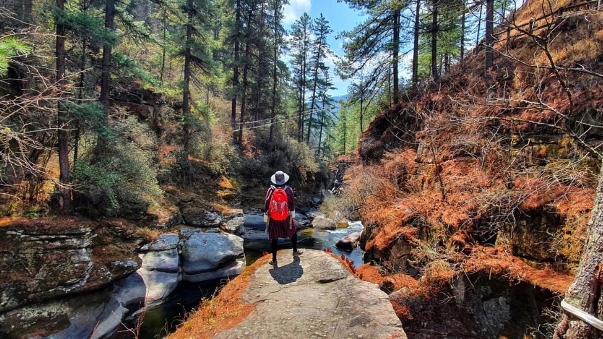 traseu bhutan fiecare turist planteaza copac redeschis 60 ani