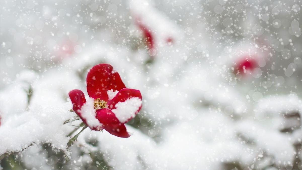 prognoza meteo vremea 23 februarie 2023