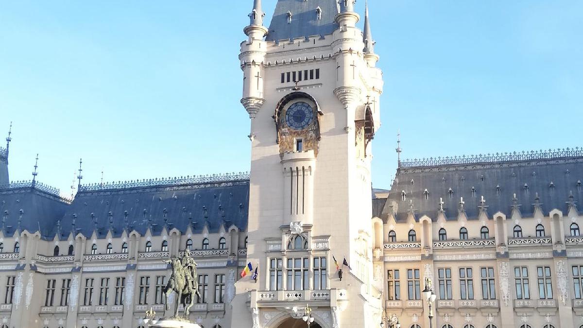 statut lucrator cultural profesionist promovat minister cultura iasi