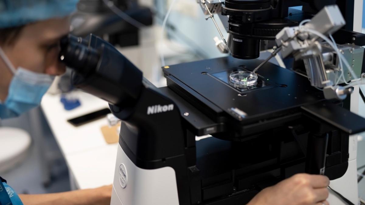 explozie cazuri moarte subita cauza