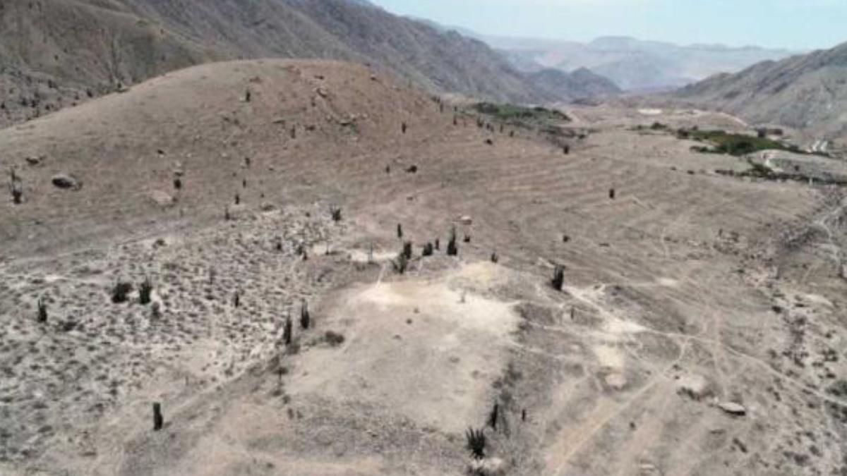 templu vechi peste 1 200 ani descoperit arheologi peru imperiul wari