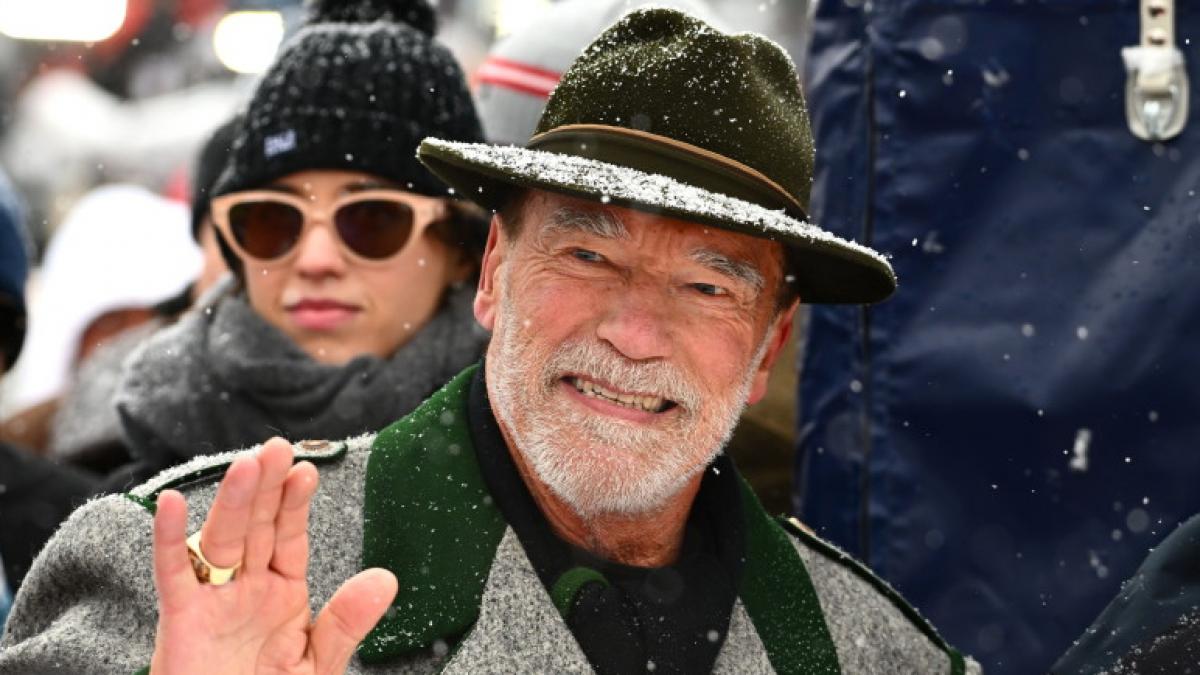 serial arnold schwarzenegger comedie netflix