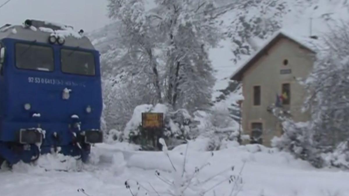 viscol ninsoare trenuri copaci rupti