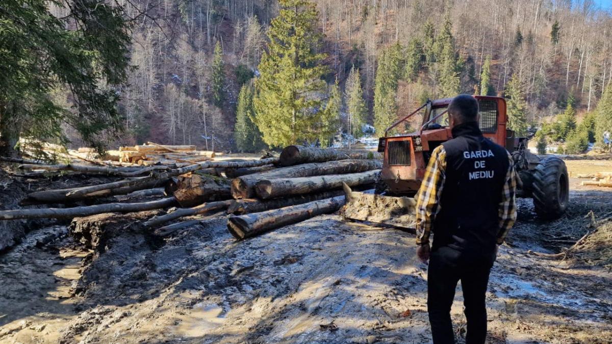 garda de mediu poluare fagaras valsan