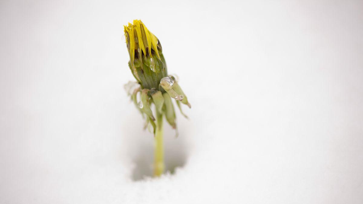 prognoza meteo 27 februarie 27 martie 2023 vremea