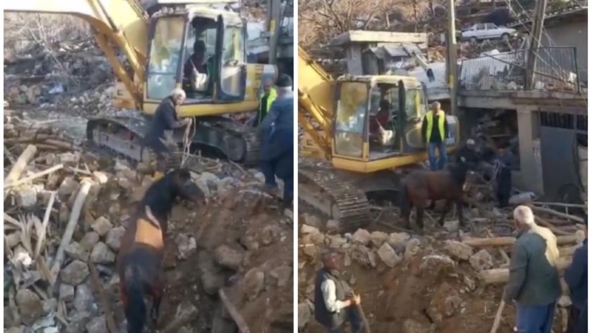 cal daramaturi cutremur turcia supravietuire