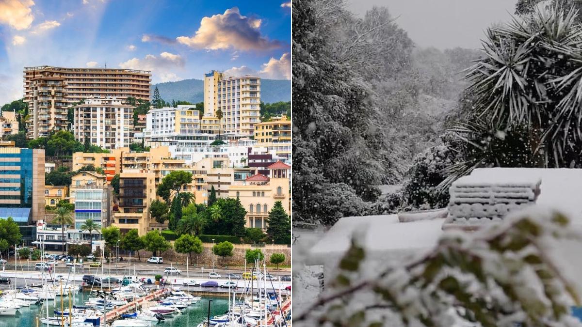 insula aleasa romani vacante insorita lovita ninsori abundente furtuna juliette