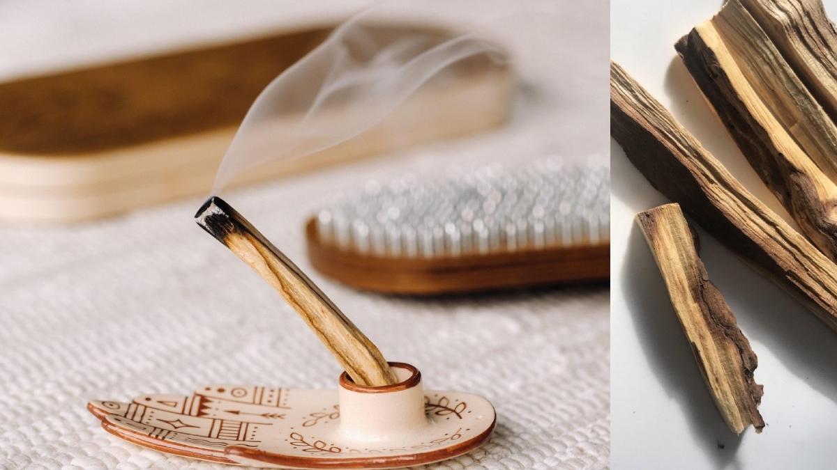 lemnul sfant purifica locuinta seci beneficii sanatate palo santo