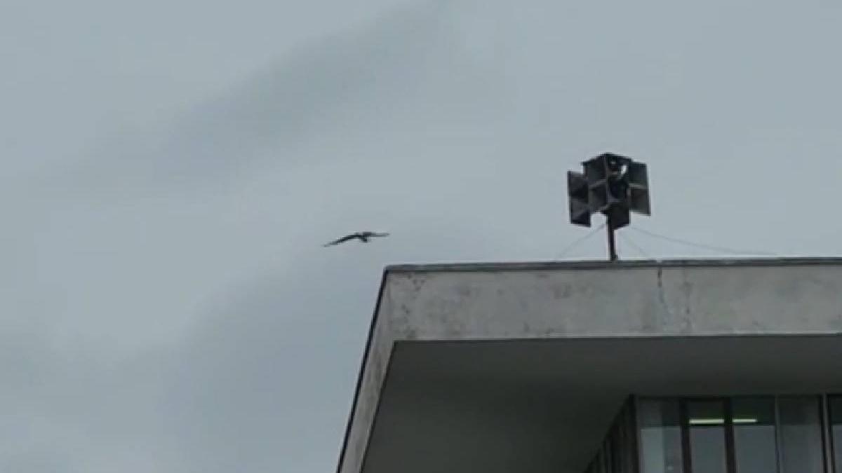 sirene buzau concluzie autoritati exercitiu alarmare