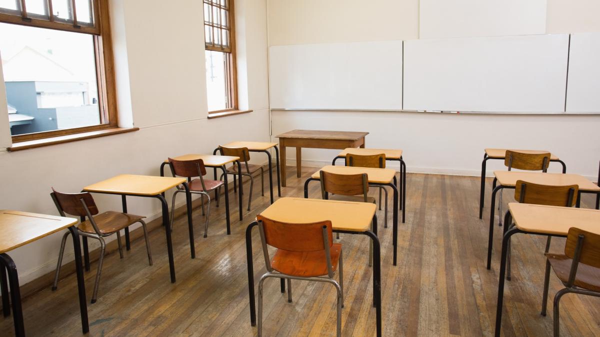 pnl copii romani diaspora educatie