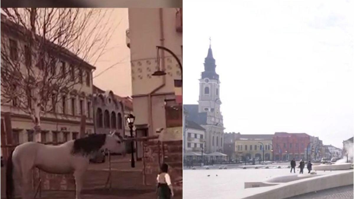oradea